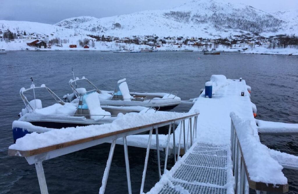 professional-winterization