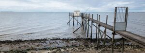 Coastal-Erosion