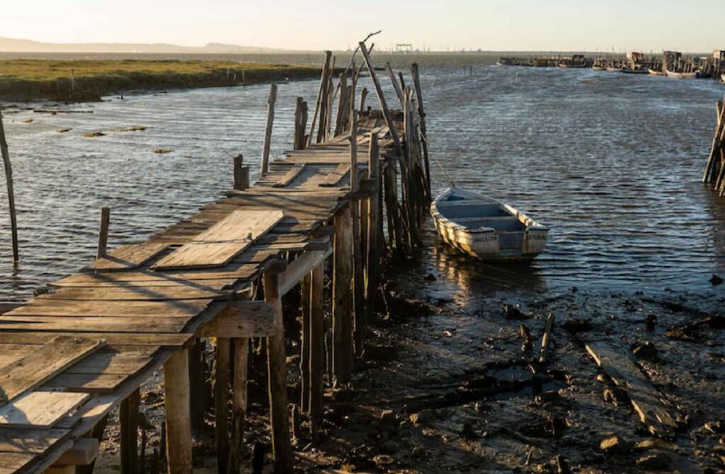 Coastal Erosion