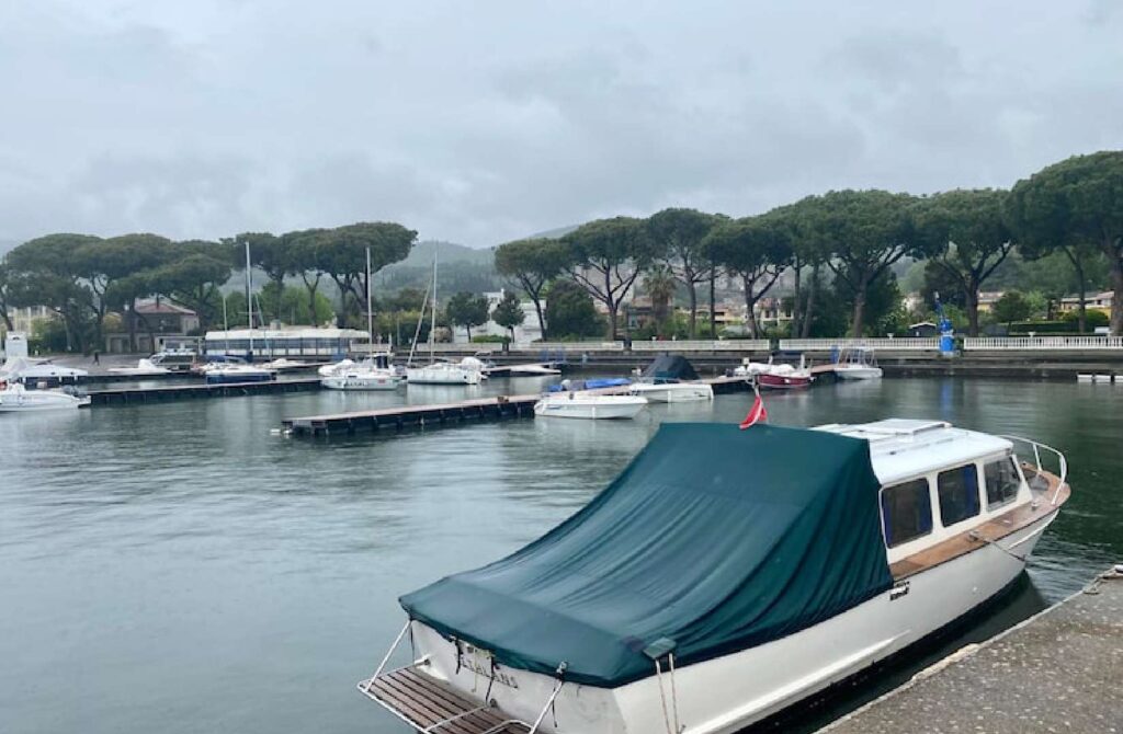 Boat Canopy
